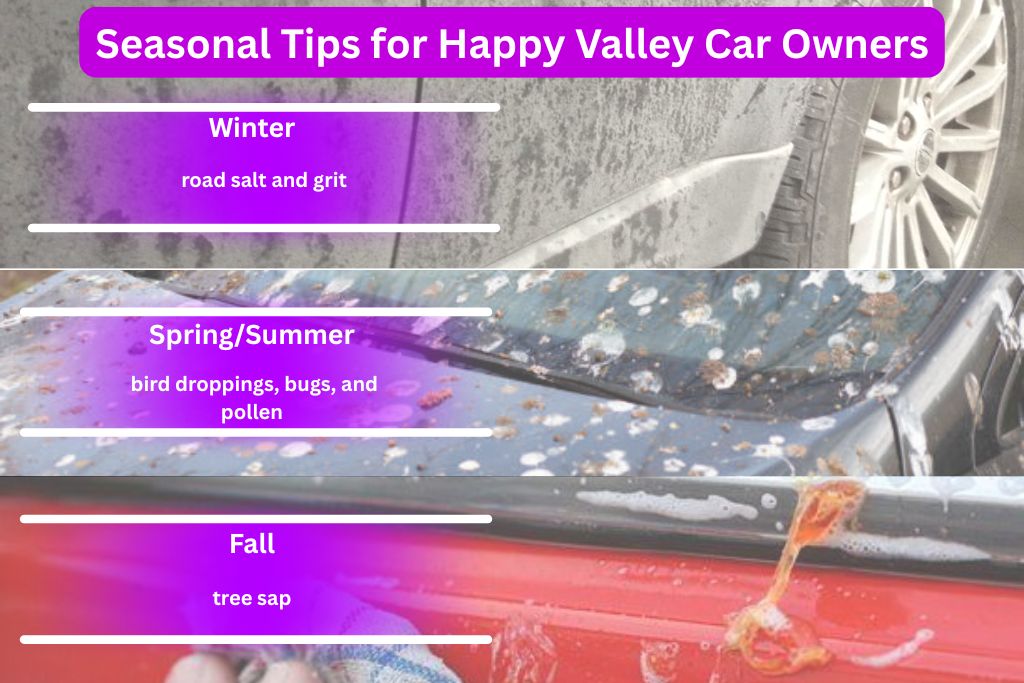 Infographic titled “Seasonal Tips for Happy Valley Car Owners” showing three images: a dirty wheel well in winter labeled “road salt and grit,” a windshield covered in bird droppings and pollen for spring/summer, and sticky tree sap on red paint for fall—all highlighting seasonal PPF hazards.