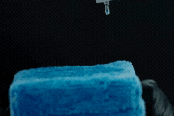 Close-up of a drop of ceramic coating being applied to a blue microfiber applicator, illustrating the beginning of the process to reapply ceramic coating during fall in Happy Valley.