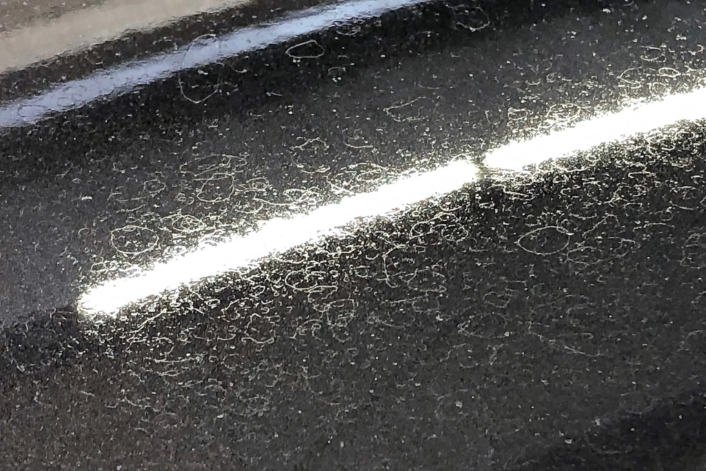 Close-up of water spots and mineral deposits on a dark vehicle surface, illuminated by overhead light. This image highlights the damage that can occur when fresh ceramic coatings and rain interact before curing, including etching and spot formation.